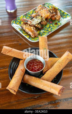 Pork Lumpia at Oribello's Bar and Kitchen, Austin, Texas, August 7, 2025. (Photo by John Anderson) Stock Photo
