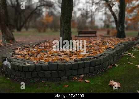 A serene park scene unfolds with a mossy path covered in fallen leaves, leading towards a solitary bench under a misty sky Stock Photo