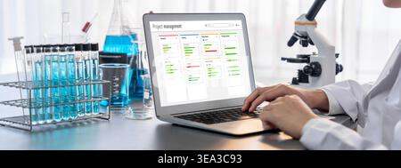 Project planning software for brisk business project management on the computer screen showing timeline chart of the team project Stock Photo