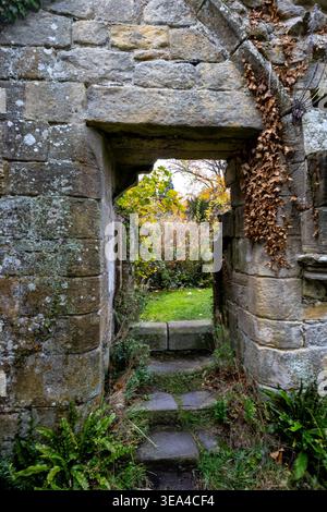 Stone doorway with steps leading through a ruined wall to an overgrown autumn garden at Jervaulx Abbey Stock Photo