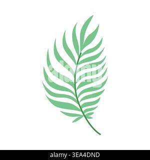 Green tropical feather palm leaf isolated on white background, minimalist botanical branch for summer wedding decor and organic branding Stock Vector
