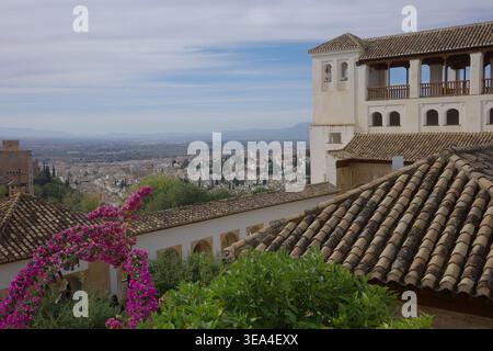 Granada cityscape and Vega plain viewed from Generalife palace rooftops with magenta bougainvillea in the foreground, Alhambra, Andalusia, Spain. Stock Photo