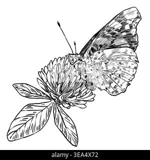 Black and white vector illustration of a butterfly on clover in botanical engraving style. Side profile with mosaic wing pattern. Perfect for graphics Stock Vector