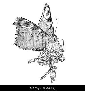 Black and white vector illustration of a butterfly on clover in botanical engraving style. Side profile with mosaic wing pattern. Perfect for graphics Stock Vector