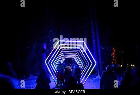 People walking through an illuminated neon light tunnel installation in a winter forest at night, with glowing geometric LED shapes Stock Photo