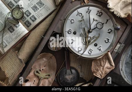 This vintage tableau captures the dark academia aesthetic, pairing cold mechanical relics with nature’s brittle fragility. At its heart lies a silence Stock Photo
