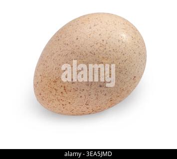 Turkey egg clipping path isolated on white background Stock Photo