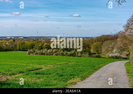 A winding dirt path through a green grassy field with trees and wind turbines in the distance under a blue sky Stock Photo
