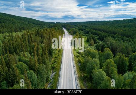 A long, empty road stretches through a vibrant green forest, blending coniferous and deciduous trees. Stock Photo