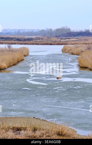 River or lake with breaking ice floes and dry reeds on banks under gray overcast sky Stock Photo