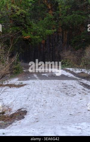 Muddy dirt road in pine forest covered with melting spring snow and slush under tall trees Stock Photo
