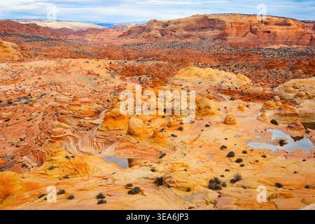 Surreal curved lines and flowing patterns shape sandstone formations around The Wave in Coyote Buttes North Arizona Stock Photo