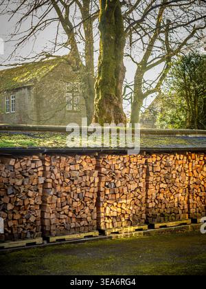 Large log store in a rural  garden, Tideswell, Peak District National Park, Derbyshire, England, UK Stock Photo