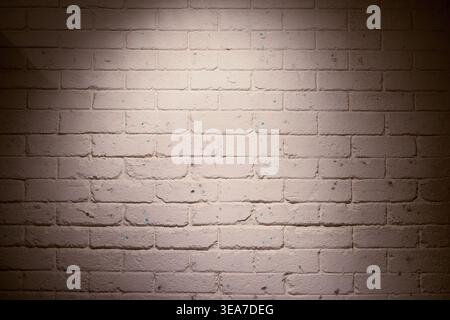 Young Middle Eastern Arab business people in creative coworking office with textured white brick wall Stock Photo