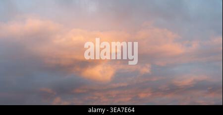 Stunning panoramic view of fluffy clouds painted in soft pastel pink, rose gold and warm golden tones during golden hour at sunset or sunrise. Wide dr Stock Photo