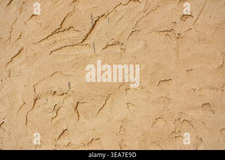 Detailed texture of traditional Middle Eastern stucco wall in warm beige tones with weathered surface. Authentic background inspired by Arabic heritag Stock Photo