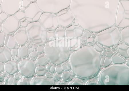 Close up abstract pattern of clear soap bubbles with a detailed cell structure Stock Photo