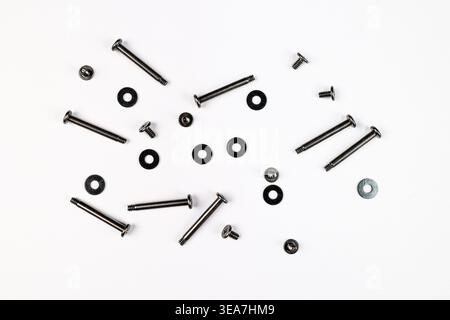 Macro shot of Long and small Screws with washer isolated on a White Background. These mounting screws are used in computers and electronics. Stock Photo