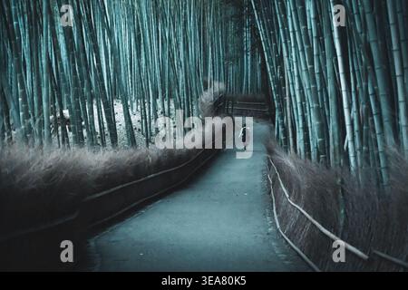 Person walking through Arashiyama bamboo forest in Kyoto, Japan, scenic pathway surrounded by tall bamboo trees with moody atmosphere Stock Photo