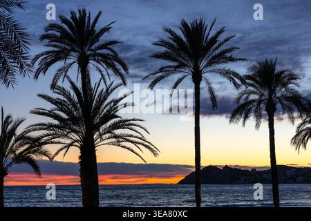 Sunset landscape with palm trees over Mediterranean Sea at sunset golden hour seen from Poniente Beach at Costa Blanca coast of Benidorm in Spain Stock Photo