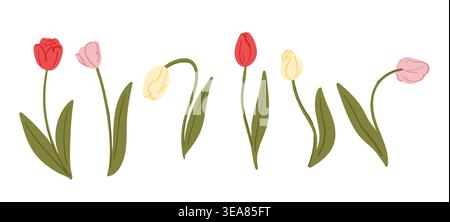 A set of stylized tulips with pink, yellow, and rose buds, spring flowers for decoration, packaging Stock Vector