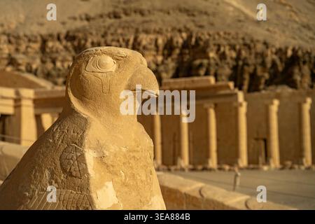 Falcon statue of Horus at the mortuary temple of Hatshepsut and Mentuhotep II in Deir el-Bahari, Thebes West near Luxor, Egypt, Africa Stock Photo