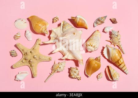 Many different seashells and starfish on pink background Stock Photo