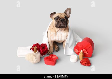 Cute French bulldog in towel with spa supplies, roses and gift boxes on white background. Valentine's Day celebration Stock Photo