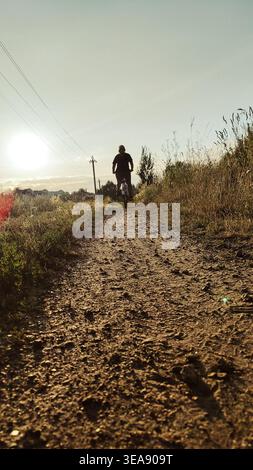 Cyclist rides mountain bike sunset trail rural field. Back view. Riding on bike in the countryside. Biking outdoor sport activity. Young man enjoying Stock Photo