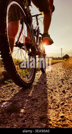 Cyclist rides mountain bike sunset trail rural field. Back view. Riding on bike in the countryside. Biking outdoor sport activity. Young man enjoying Stock Photo