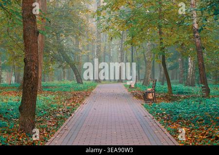 A symmetrical view down a brick walkway through a park during autumn, with benches on either side and trees displaying fall foliage Stock Photo