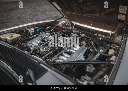 A close-up view of a classic car's engine bay, showcasing the intricate details of the engine. Stock Photo