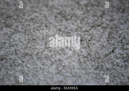 High angle view of grey wool carpet fibers. Soft fabric texture for interior design, home comfort, and flooring background. Macro shot of fluffy texti Stock Photo