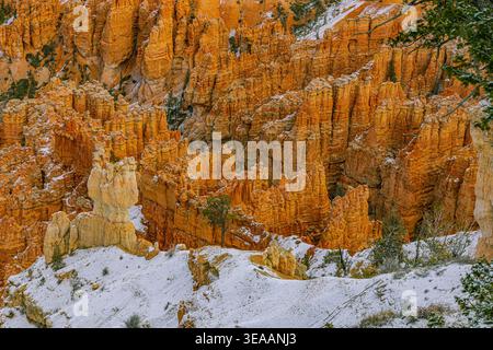 Striking orange hoodoos covered with fresh snow and scattered pines in winter at Bryce Canyon National Park, Utah Stock Photo
