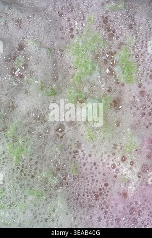 Colorful foam and bubbles produced by bath bombs in water, creates an organic, textured background element resembling a nebula scene from outer space Stock Photo