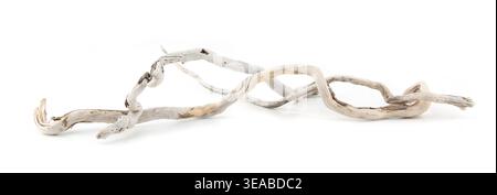 Sea driftwood branches isolated on white background. Bleached dry aged drift wood. Stock Photo
