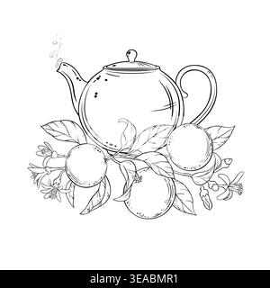 Orange Tea in Teapot Outline Illustration. Stock Vector