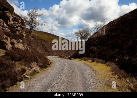 The track leading down the valley of Sharnberry Gill, in the Pennine hills of County Durham Stock Photo