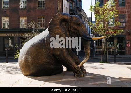 Life-size bronze Herd of Hope elephant sculpture by Gillie and Marc in sunlight on Brushfield Street, Spitalfields, East London, England, UK, with Ver Stock Photo