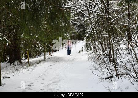 winter and snow in the mountains Stock Photo