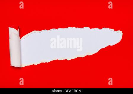 A vibrant red piece of paper has been torn to reveal a white background beneath, Stock Photo
