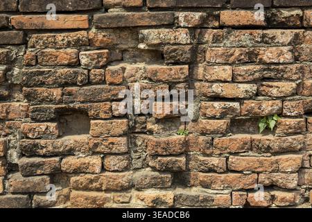 Old weathered ancient brown brick wall texture ruin displaying enduring nostalgic emotion with crumbling masonry and small green plant growing in crev Stock Photo