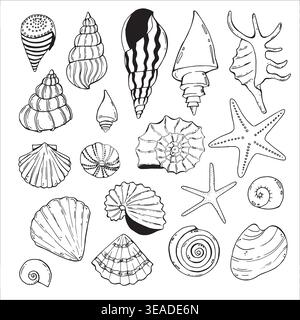 Underwater seashells hand painted line sketch Stock Vector
