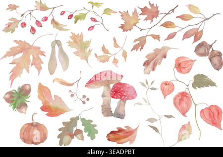 Watercolor autumn forest set with red amanita mushrooms, maple leaves, acorns, hazelnuts, berries. Hand-painted botanical elements on white. Vector Stock Vector