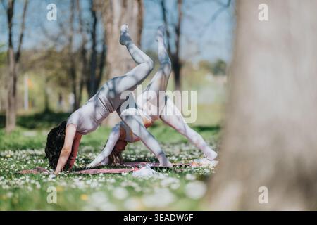 Two women doing outdoor yoga partner pose in a sunny park on floral grass mats Stock Photo