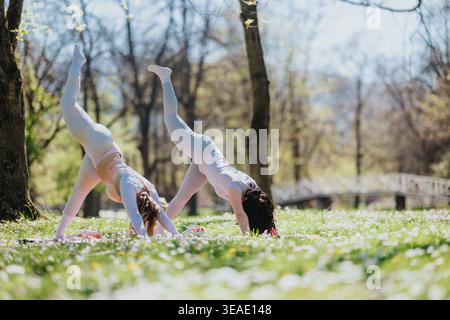 Two women practicing outdoor yoga in a sunny park doing leg-lift downward dog poses Stock Photo