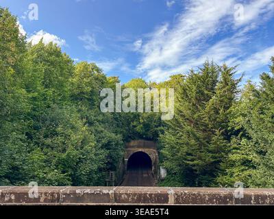 Victorian railway tunnel portal surrounded by dense summer woodland, Surrey, England, UK Stock Photo