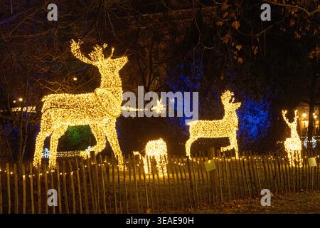 Golden Reindeer Illumination Display at a Festive Outdoor Event Stock Photo