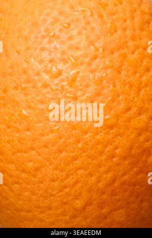 vibrant orange citrus fruit skin texture, small water droplets on organic surface, full frame closeup, fresh produce or vitamin c background concept Stock Photo