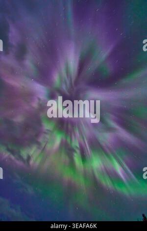 Northern Lights Aurora Borealis Green and Purple Night Sky Winter Stock Photo